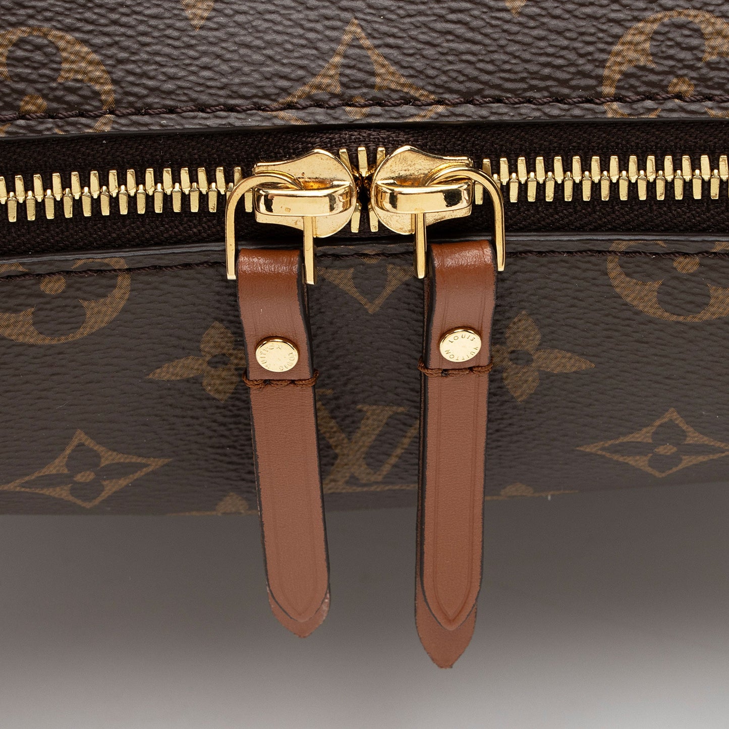 Louis Vuitton Monogram Canvas Loop Hobo