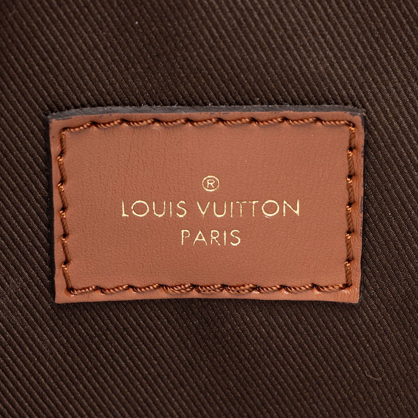 Louis Vuitton Monogram Canvas Loop Hobo