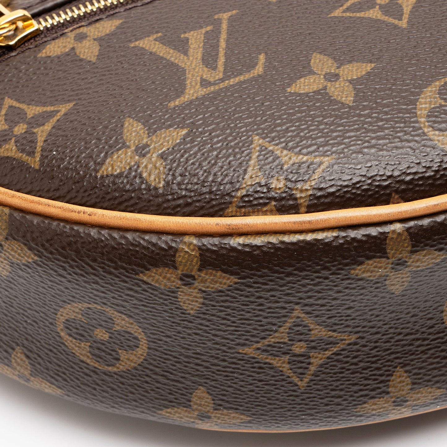 Louis Vuitton Monogram Canvas Loop Shoulder Bag
