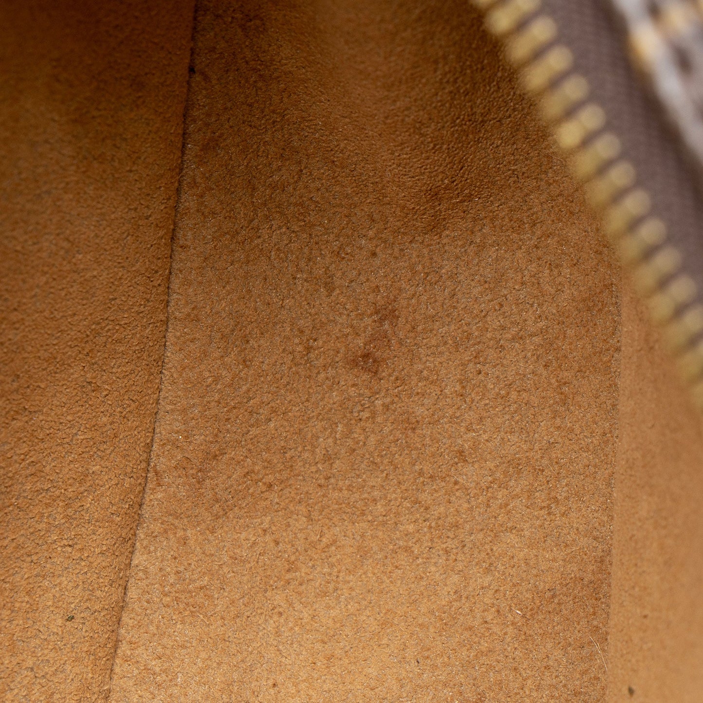 Louis Vuitton Monogram Canvas Loop Shoulder Bag