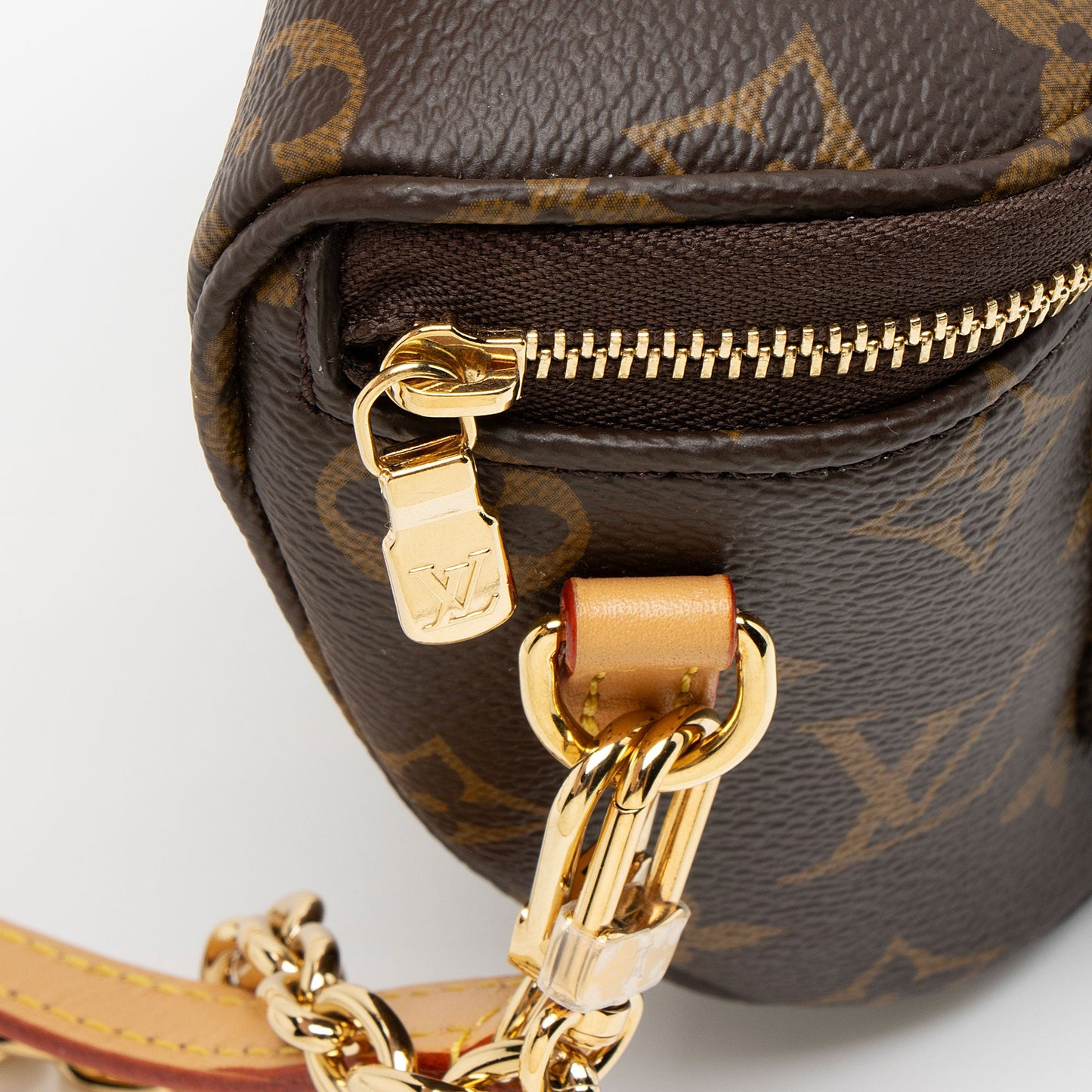 Louis Vuitton Monogram Canvas Mini Bumbag