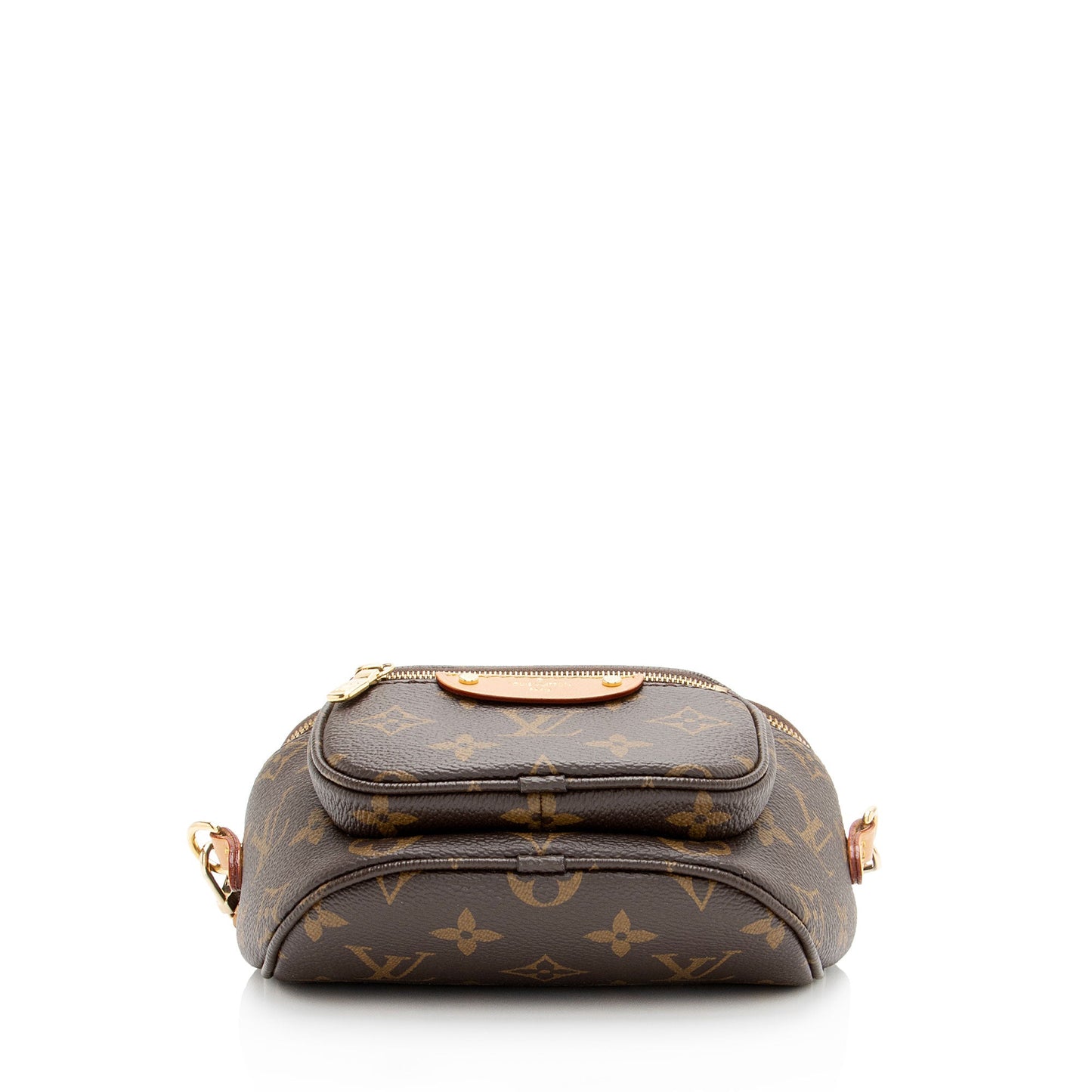 Louis Vuitton Monogram Canvas Mini Bumbag