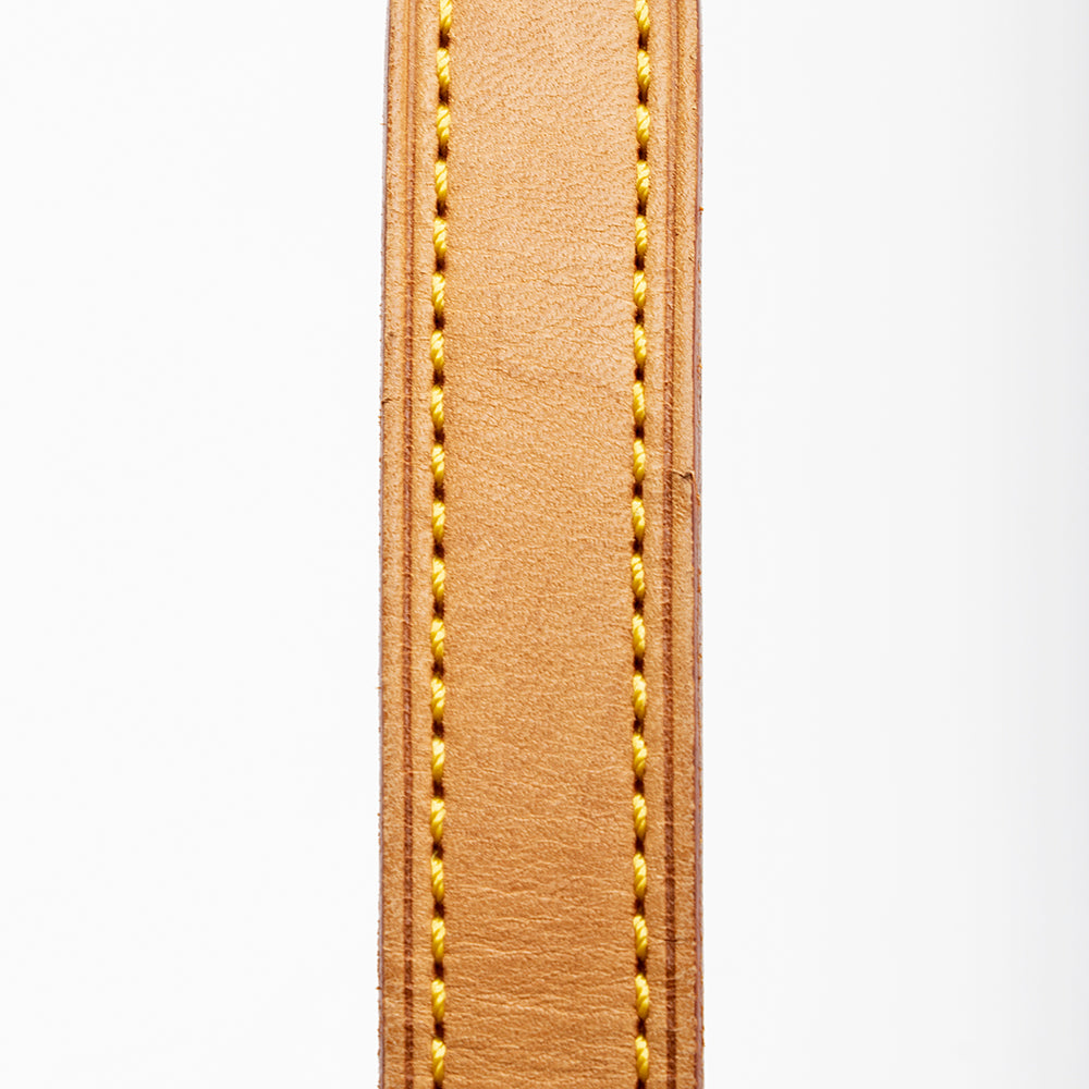 Louis Vuitton Monogram Canvas Musette Tango Shoulder Bag (SHF-187423)