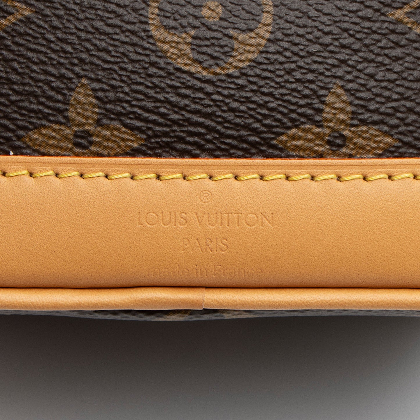 Louis Vuitton Monogram Canvas Nano Noe Shoulder Bag (SHF-V1WNYG)