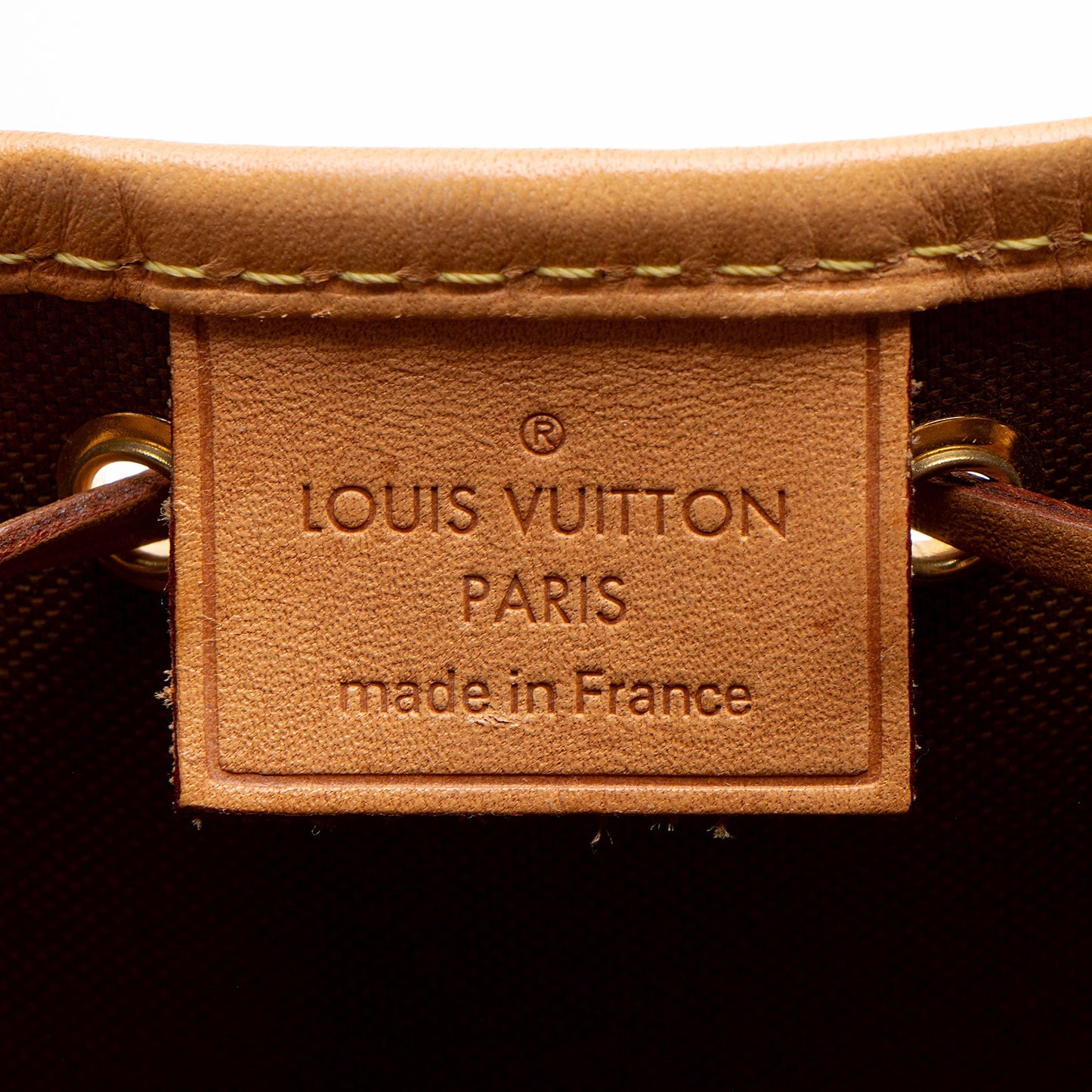 Louis Vuitton Monogram Canvas Nano Noe Shoulder Bag