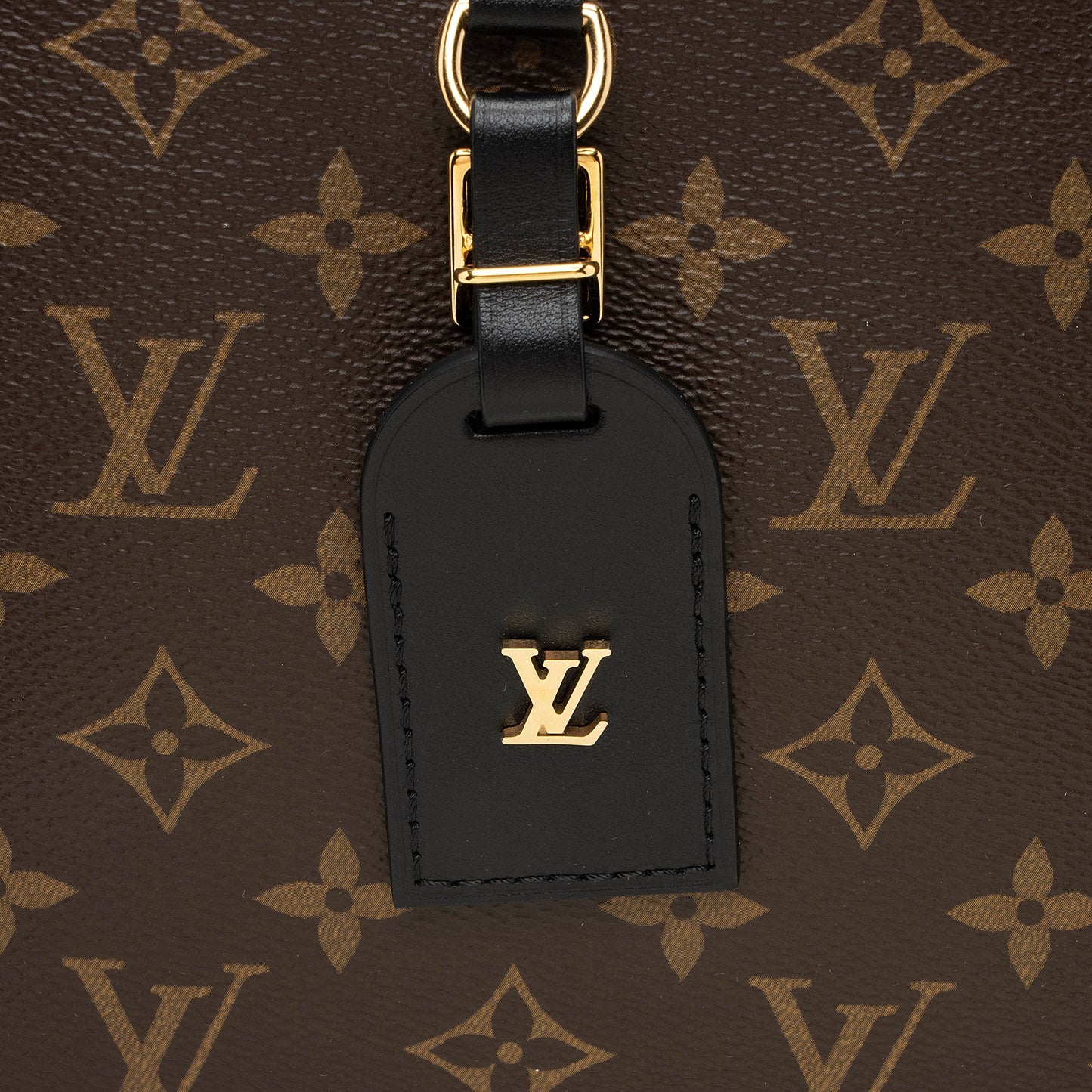 Louis Vuitton Monogram Canvas Odeon PM NM Shoulder Bag