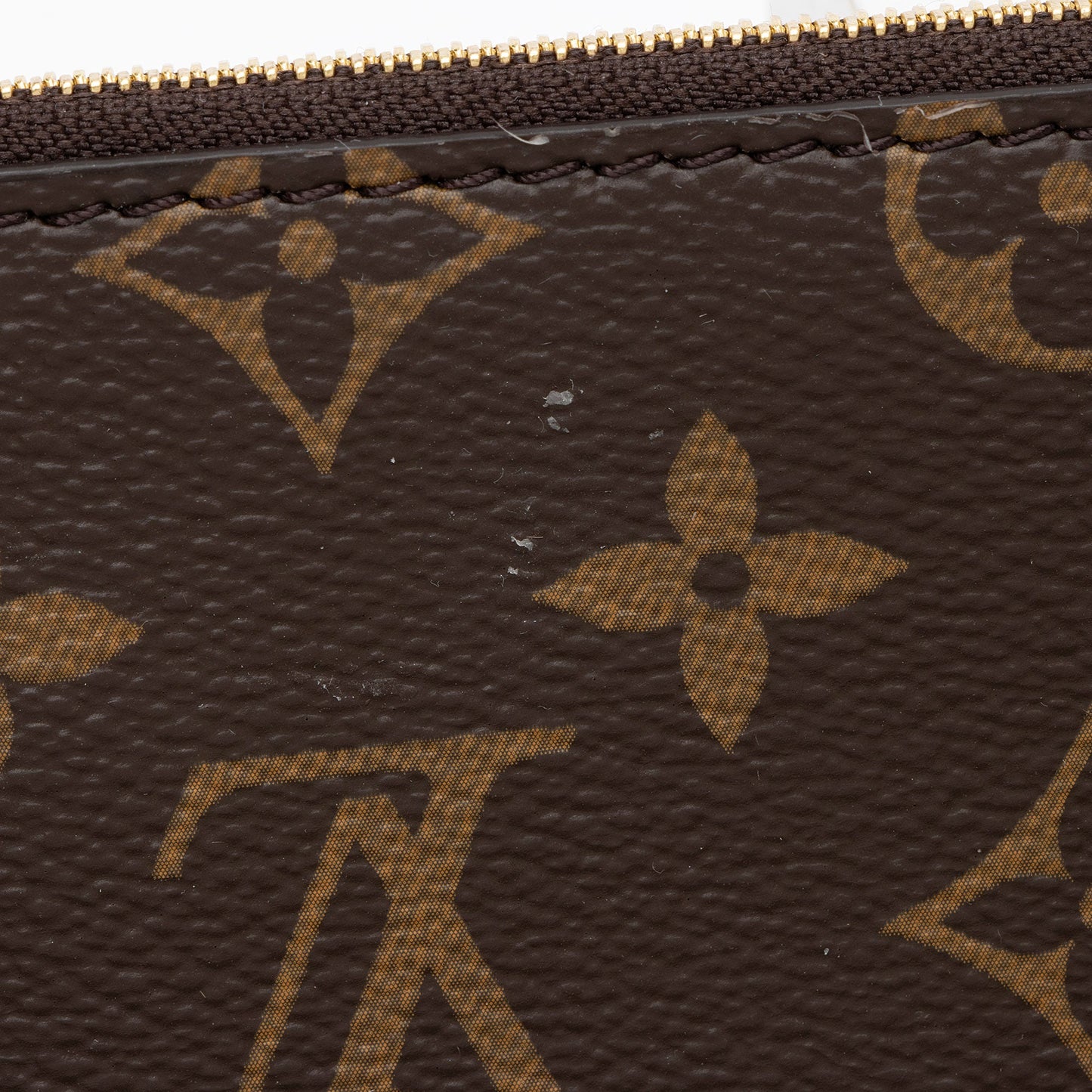 Louis Vuitton Monogram Canvas PM Pochette