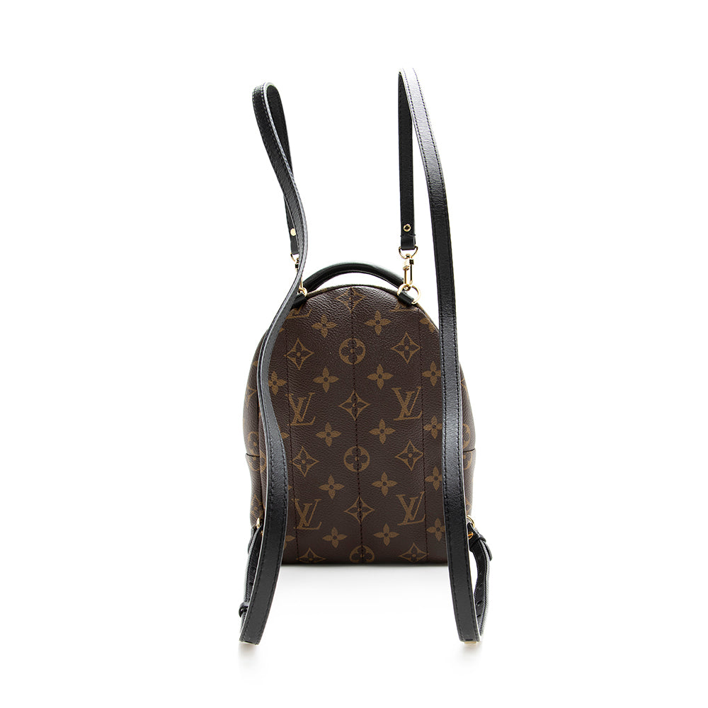Louis Vuitton Monogram Canvas Palm Springs Mini Backpack (SHF-20573)