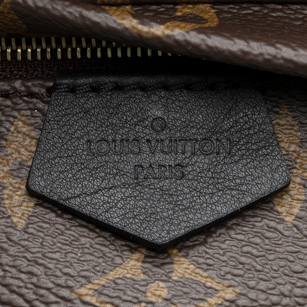 Louis Vuitton Monogram Canvas Palm Springs Mini Backpack (SHF-20573)