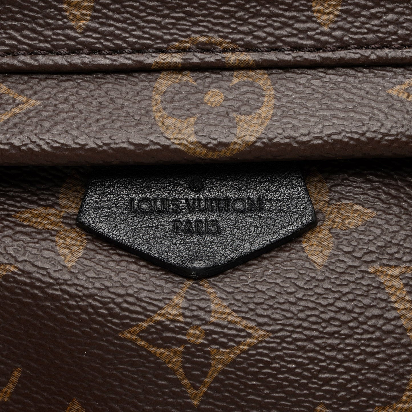 Louis Vuitton Monogram Canvas Palm Springs Mini Backpack (SHF-0UIhUG)