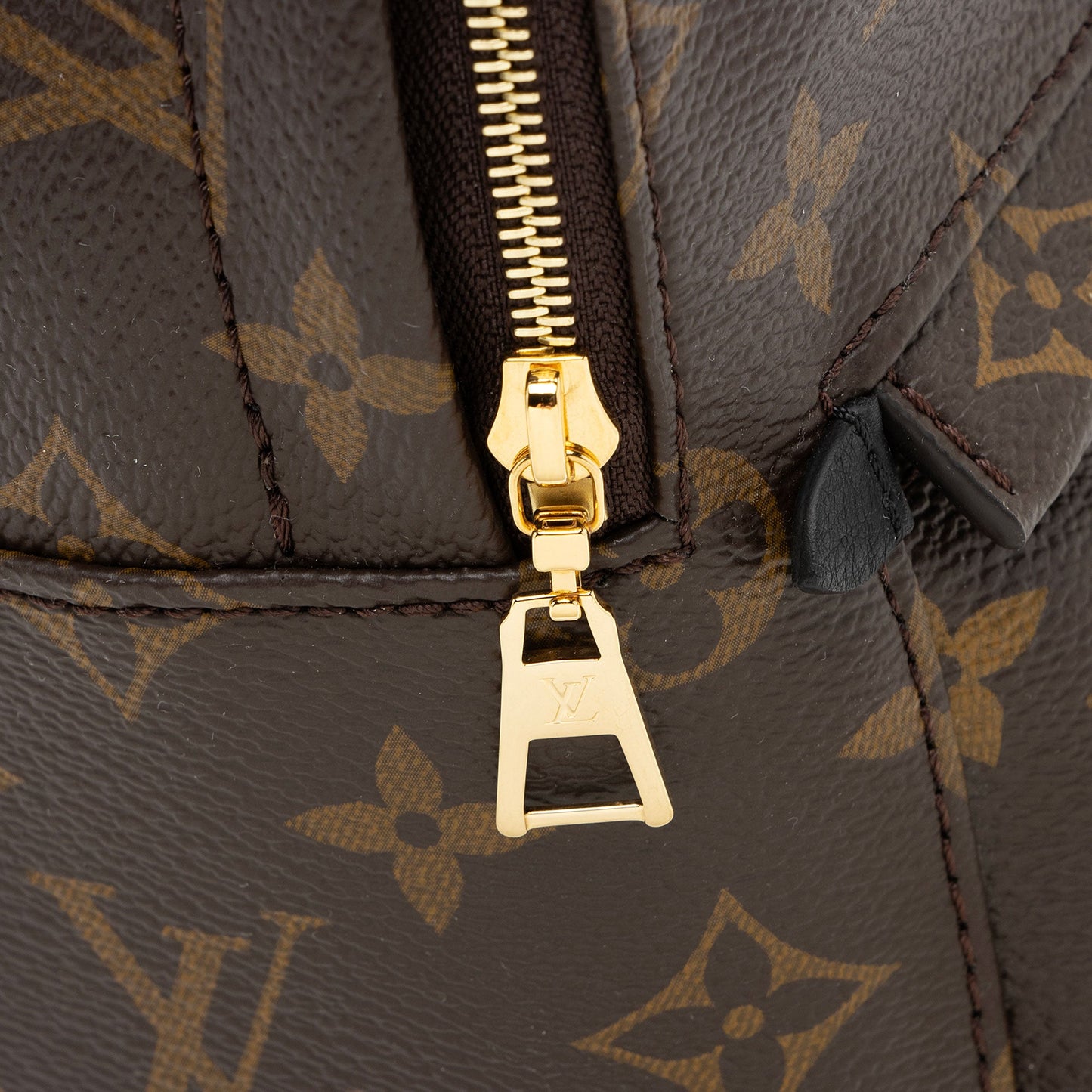 Louis Vuitton Monogram Canvas Palm Springs Mini Backpack (SHF-gAOHZi)
