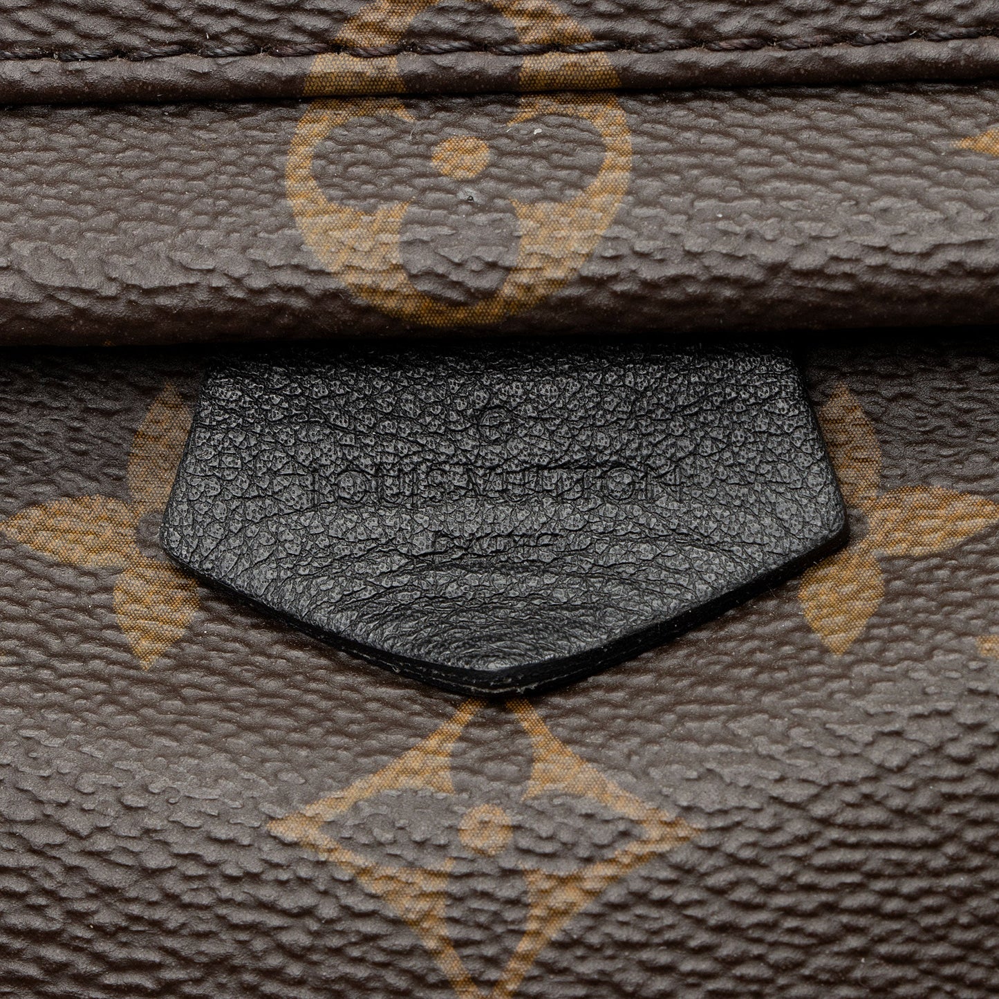Louis Vuitton Monogram Canvas Palm Springs Mini Backpack