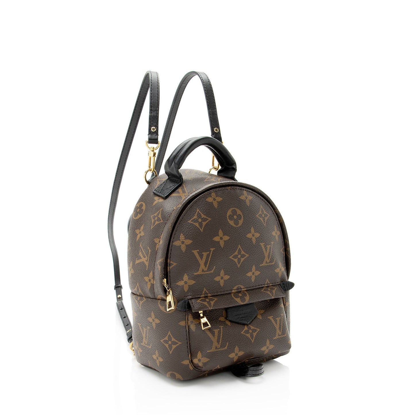 Louis Vuitton Monogram Canvas Palm Springs Mini Backpack