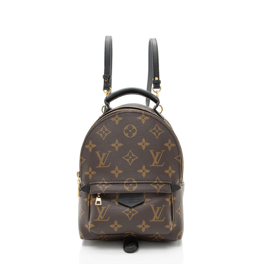 Louis Vuitton Monogram Canvas Palm Springs Mini Backpack