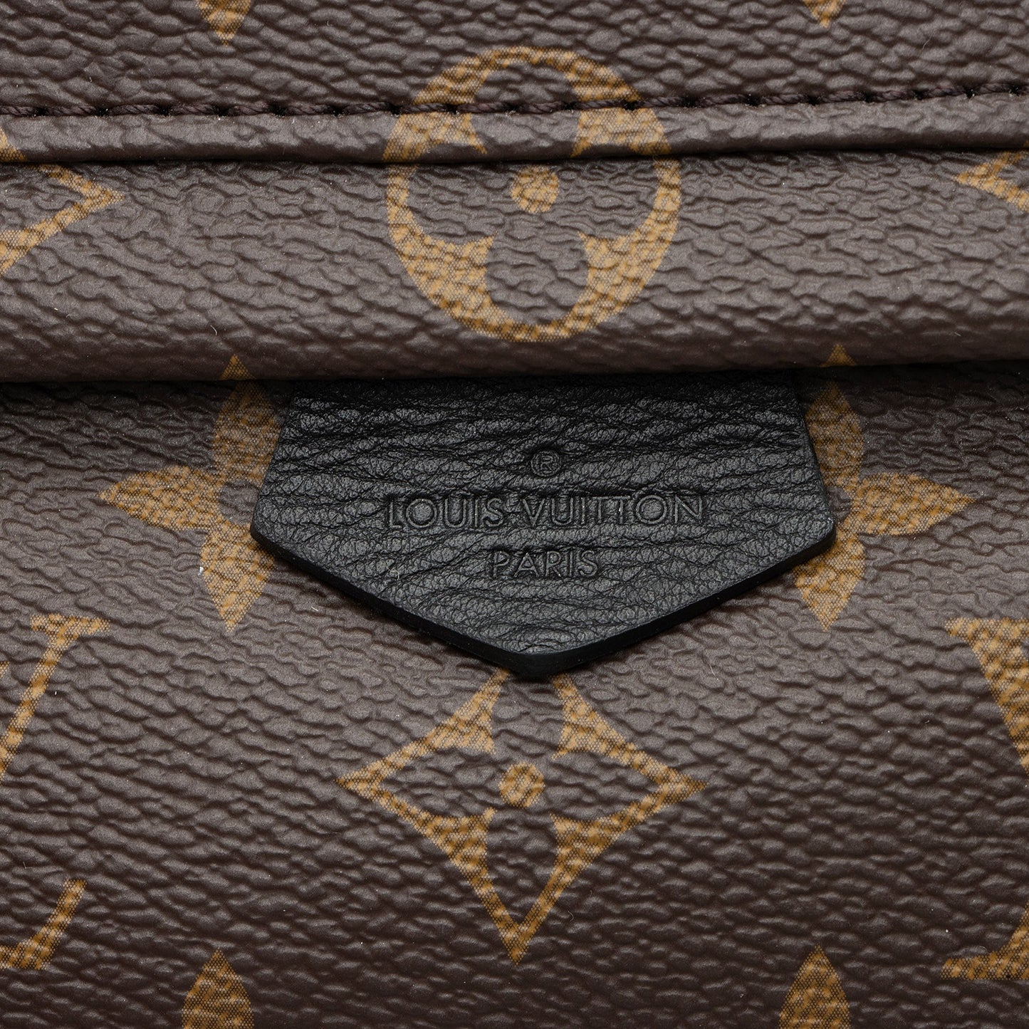 Louis Vuitton Monogram Canvas Palm Springs Mini Backpack