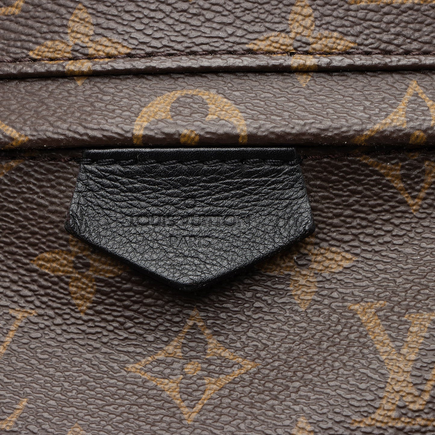 Louis Vuitton Monogram Canvas Palm Springs PM Backpack