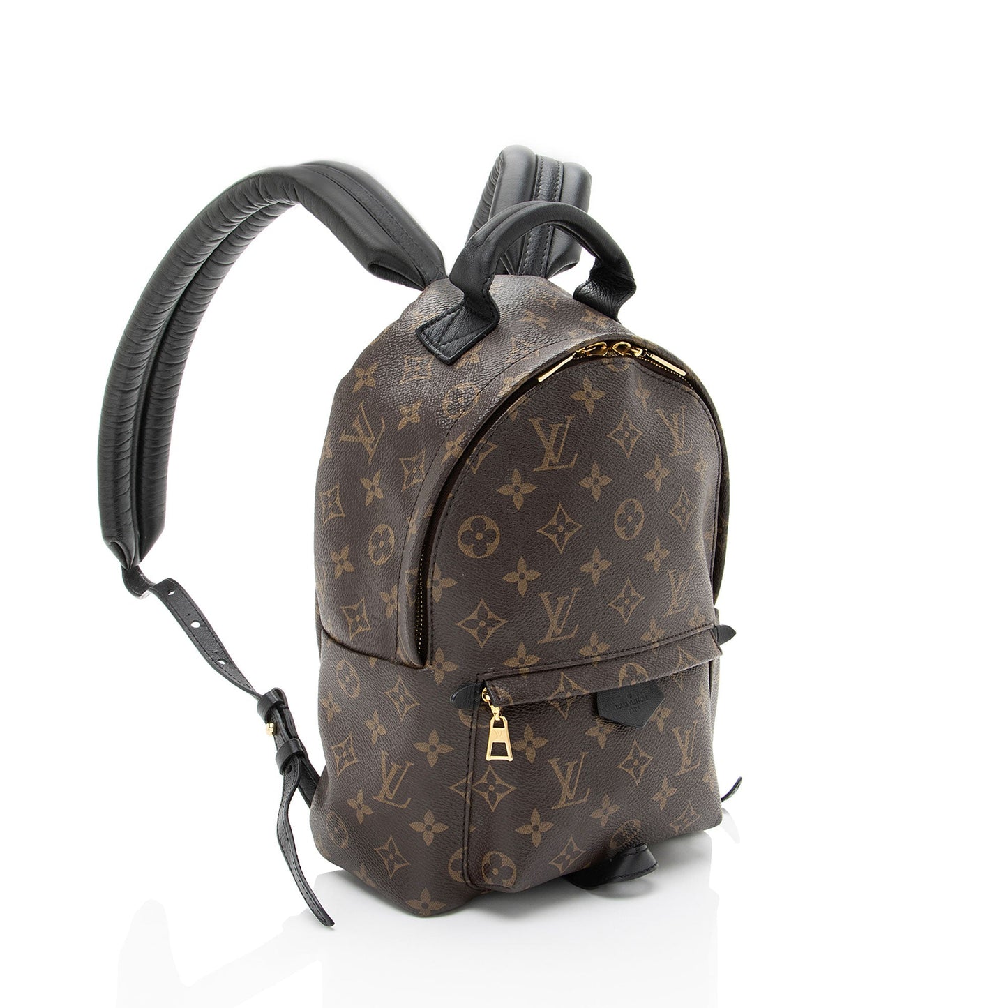 Louis Vuitton Monogram Canvas Palm Springs PM Backpack