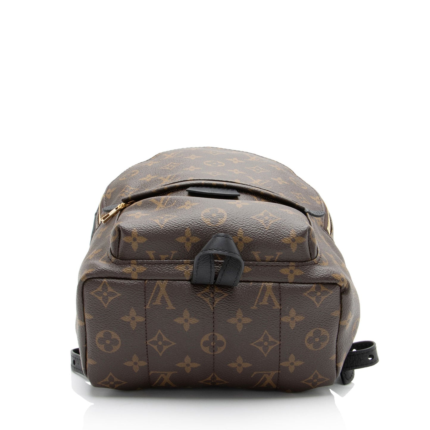 Louis Vuitton Monogram Canvas Palm Springs PM Backpack