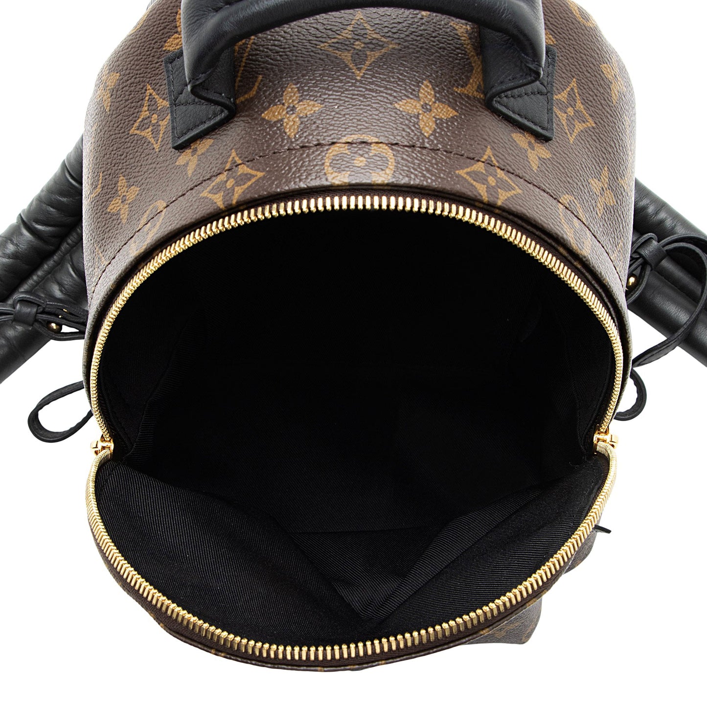 Louis Vuitton Monogram Canvas Palm Springs PM Backpack