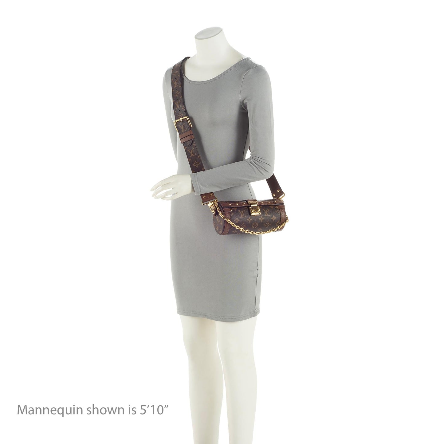 Louis Vuitton Monogram Canvas Papillon Trunk Bag