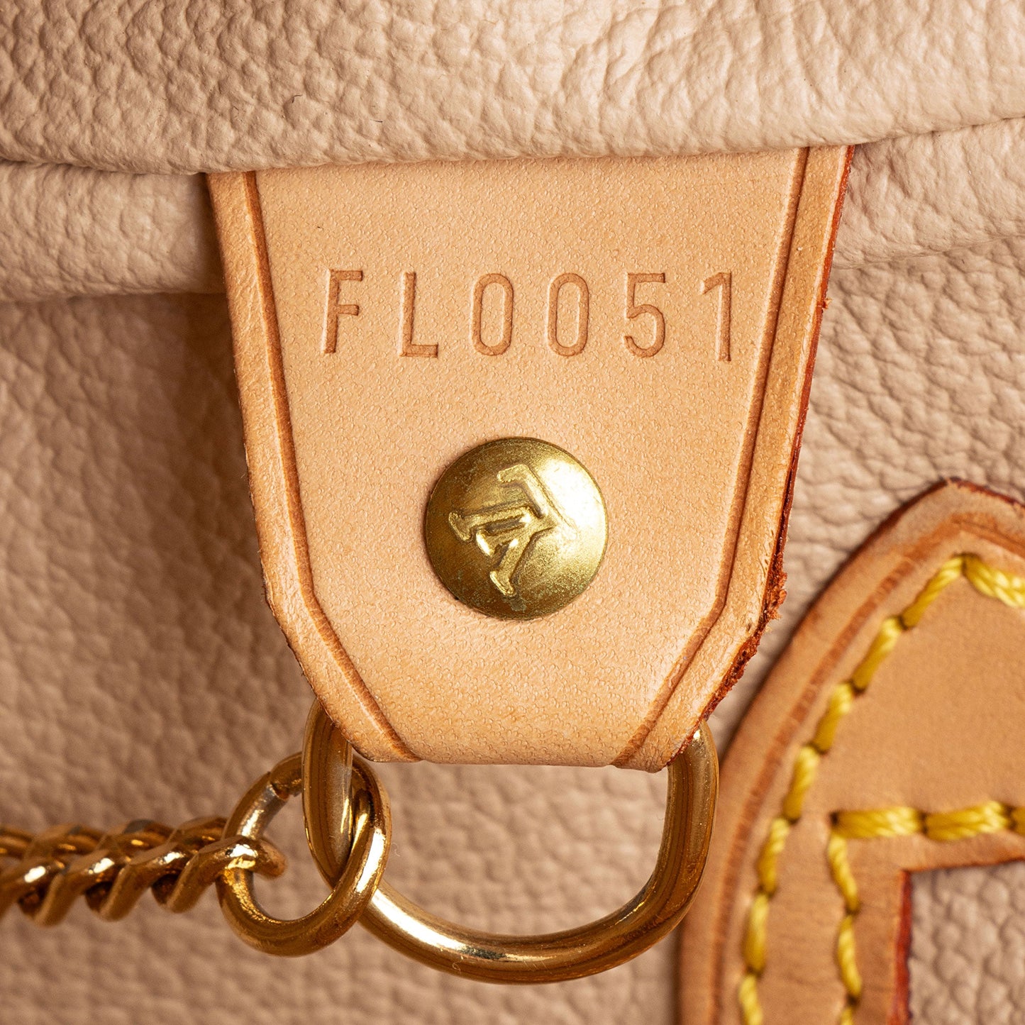 Louis Vuitton Monogram Canvas Petit Bucket Tote