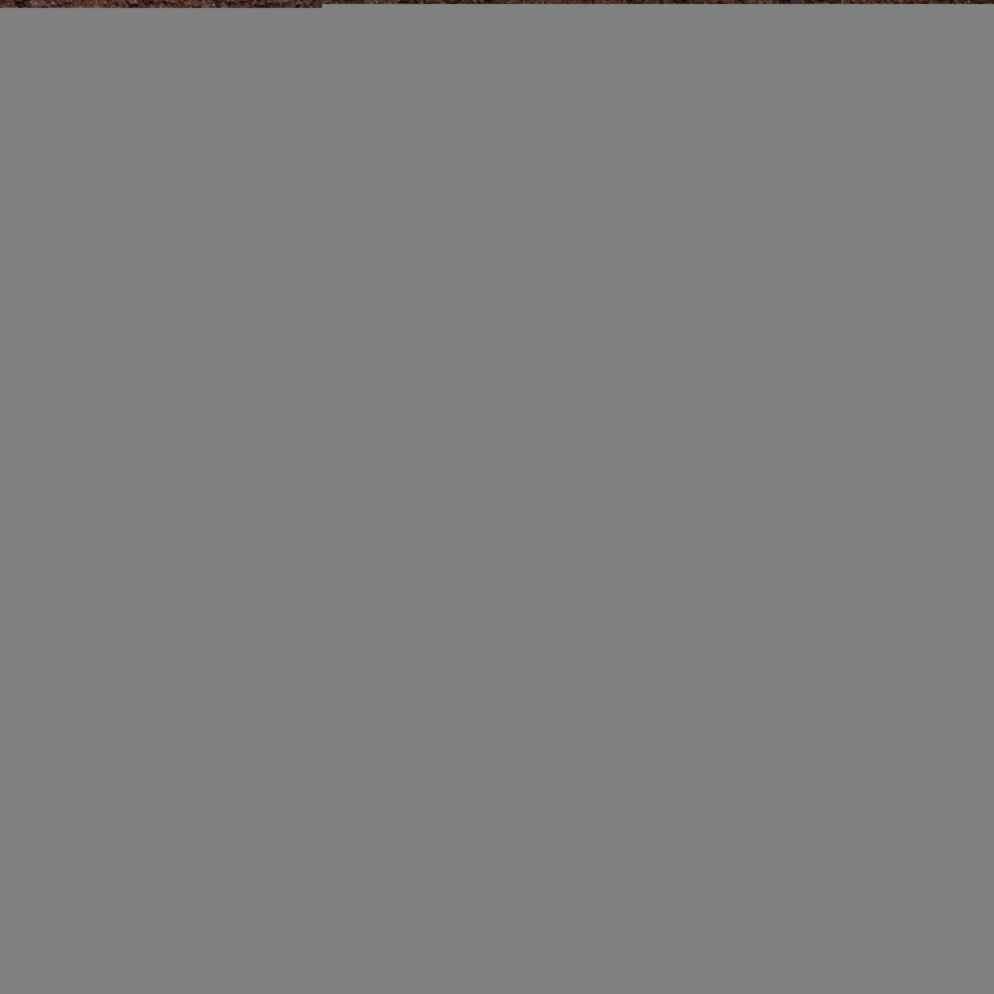 Louis Vuitton Monogram Canvas Pochette Metis Shoulder Bag