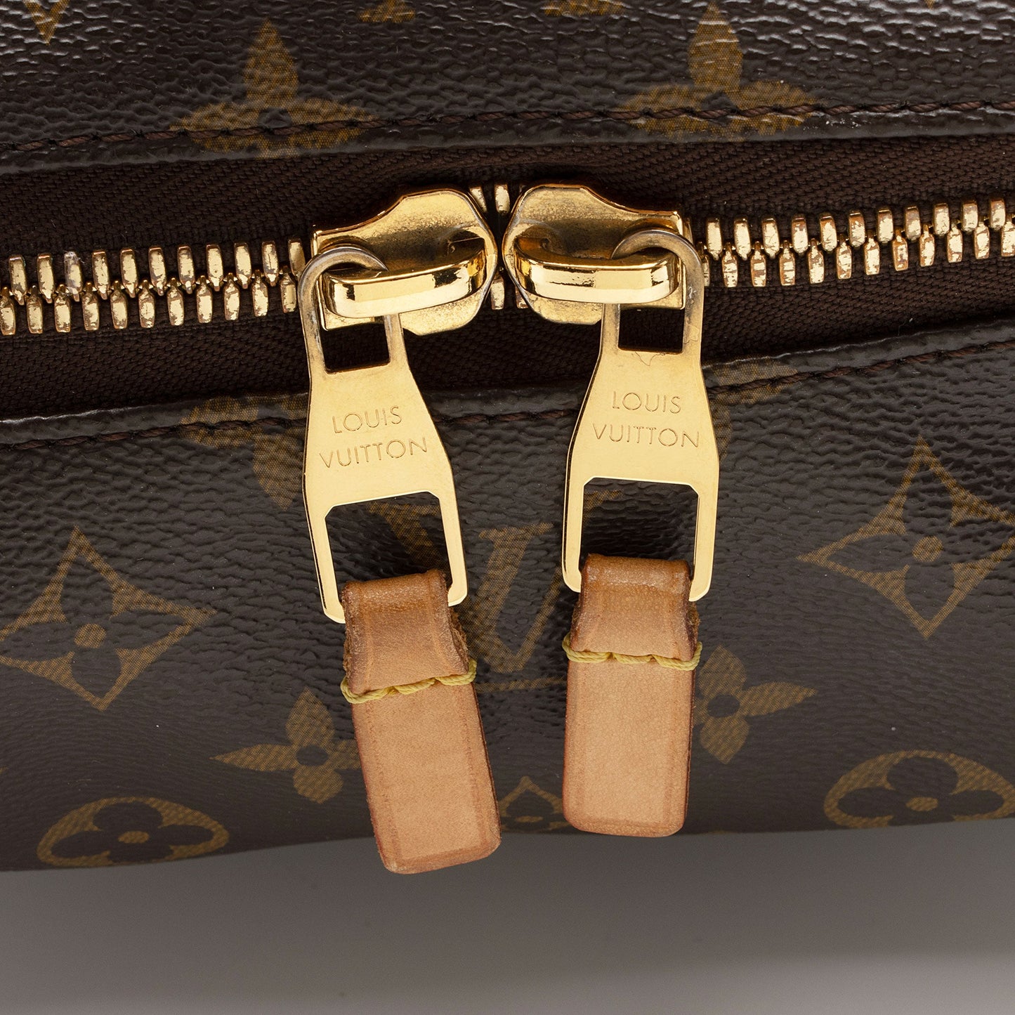 Louis Vuitton Monogram Canvas Sully PM Shoulder Bag (SHF-64sF0J)
