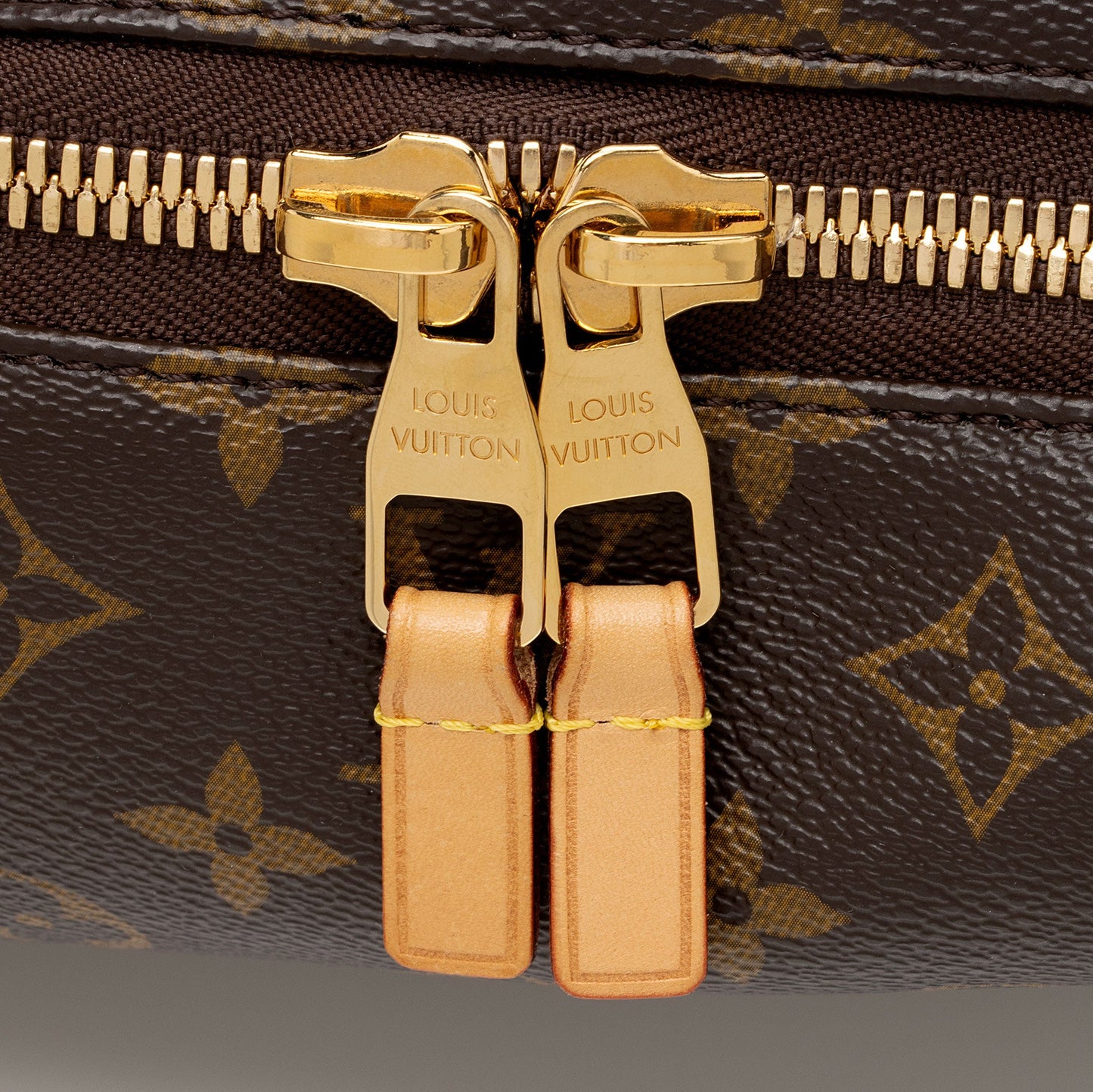 Louis Vuitton Monogram Canvas Sully PM Shoulder Bag (SHF-SVXZ9s)