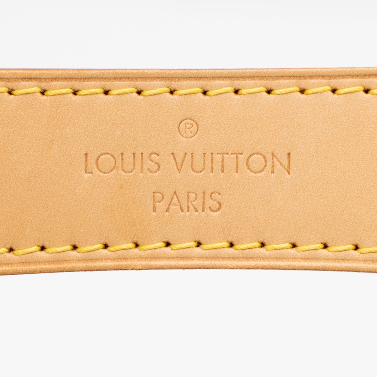 Louis Vuitton Monogram Canvas Sully PM Shoulder Bag (SHF-SVXZ9s)