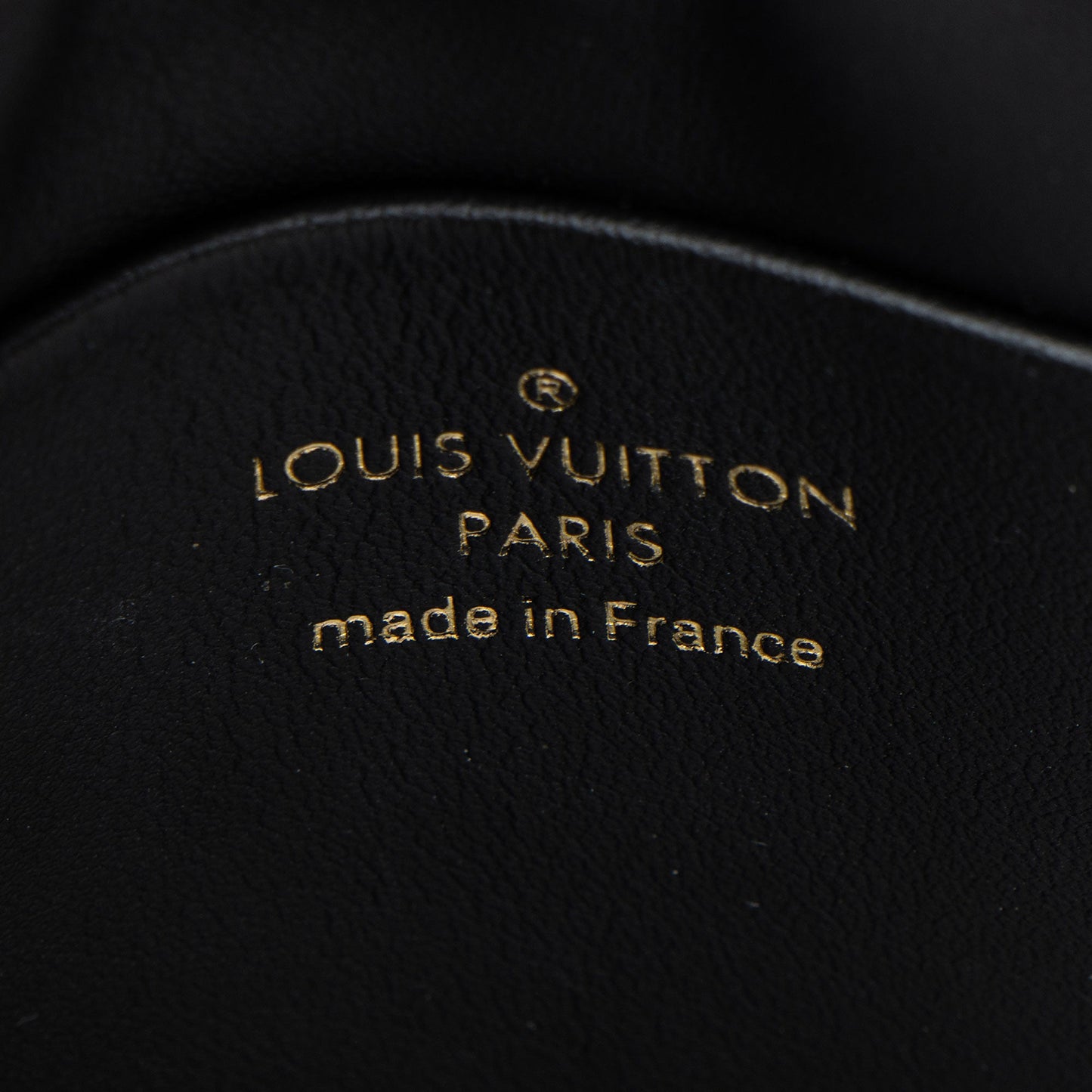 Louis Vuitton Monogram Canvas Thelma Pochette