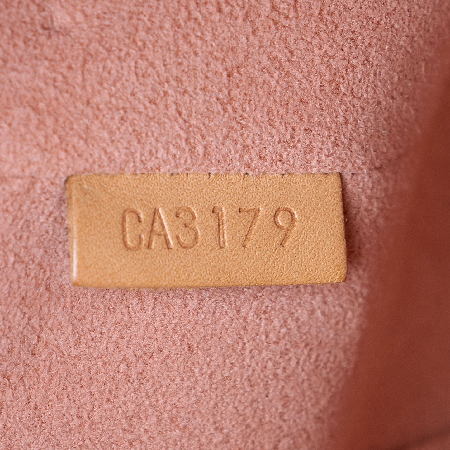 Louis Vuitton Monogram Canvas V Tote BB