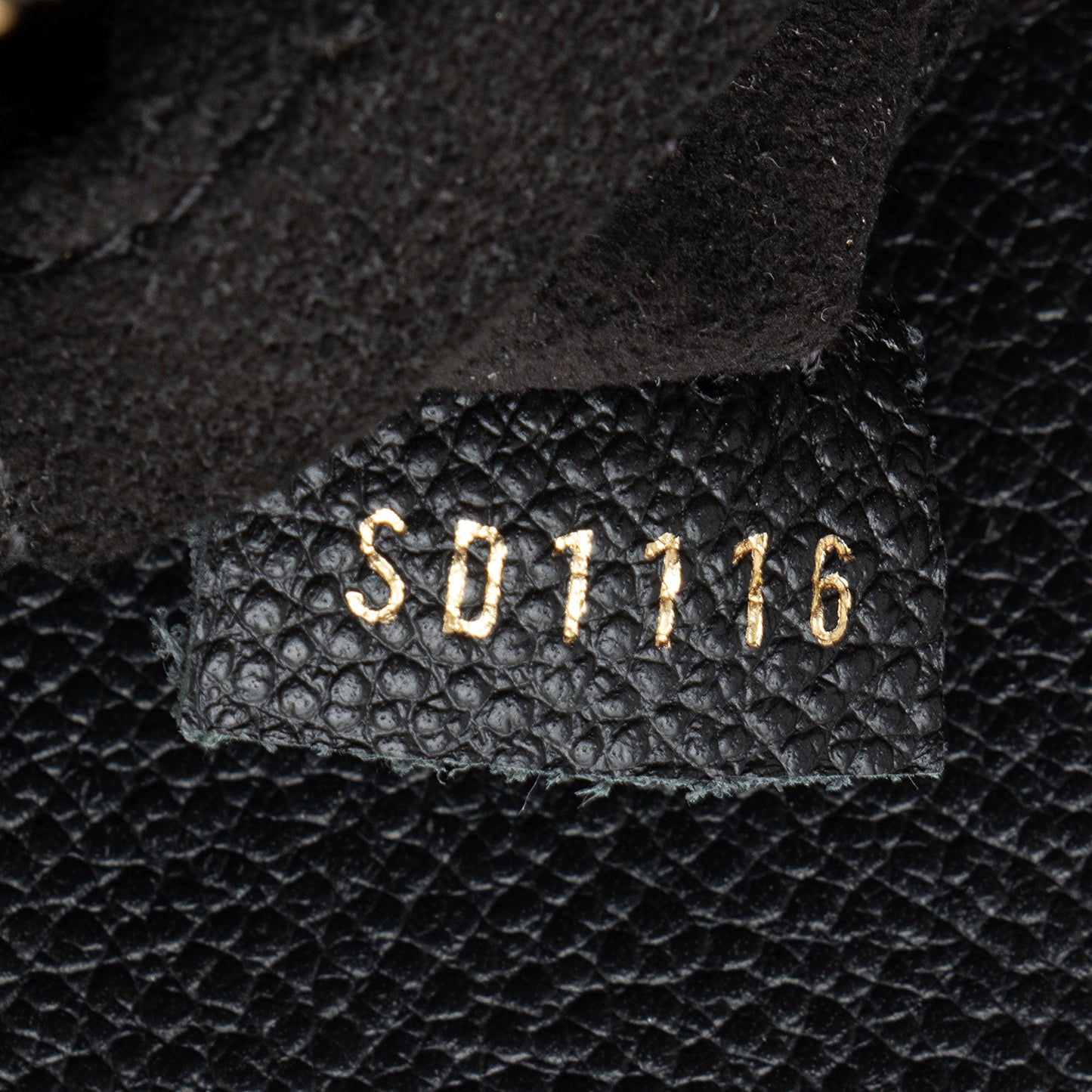 Louis Vuitton Monogram Canvas Venus Satchel