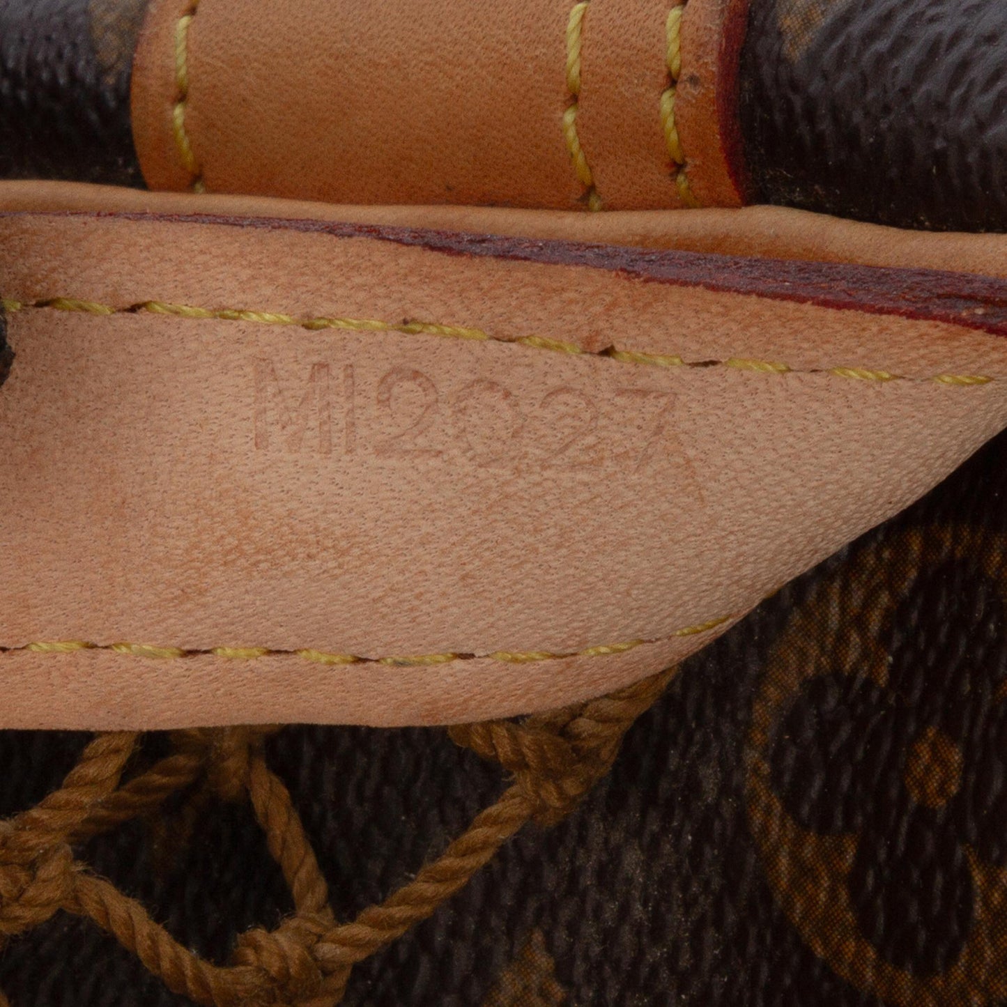 Louis Vuitton Monogram Congo PM