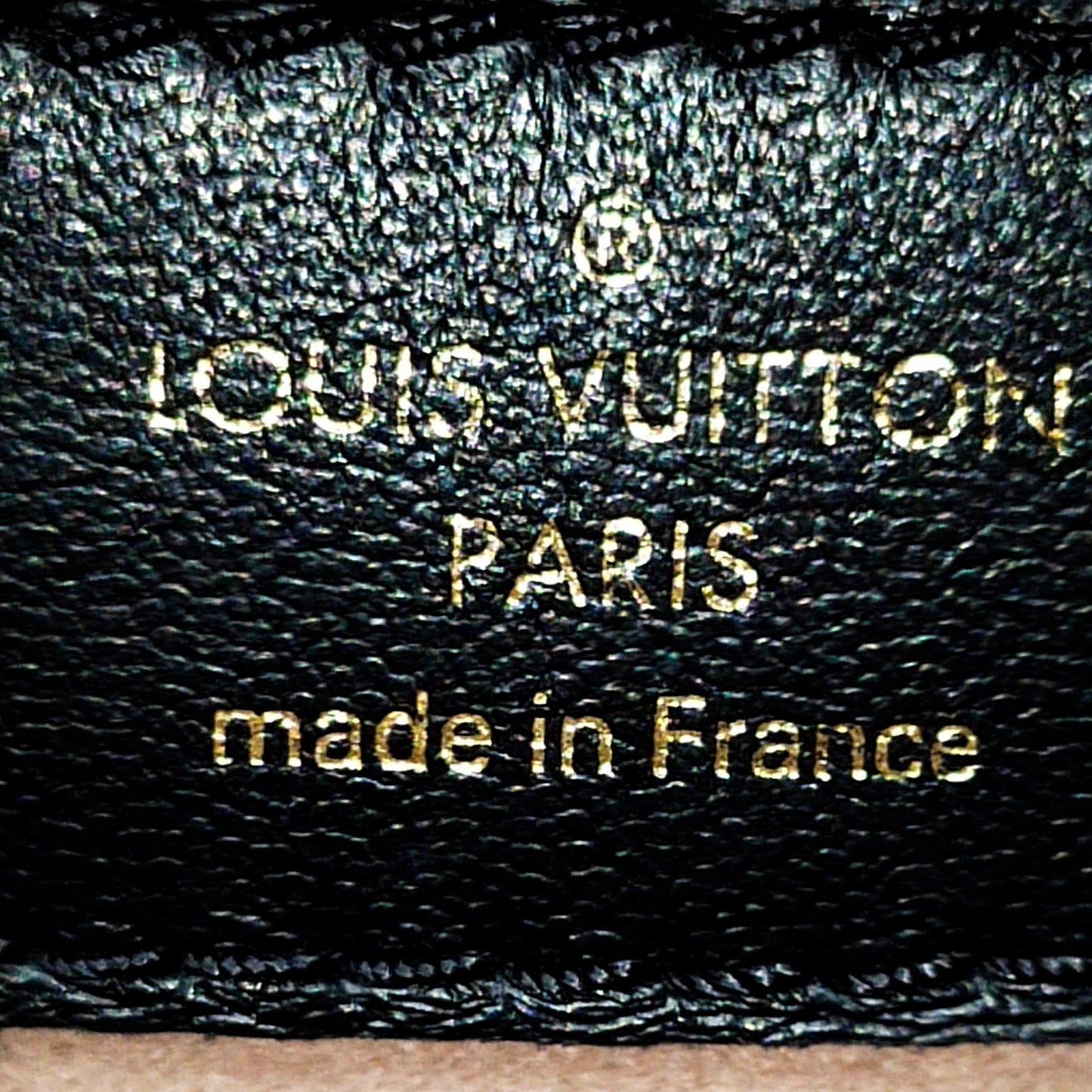 Louis Vuitton Monogram Coussin PM (SHG-37688)