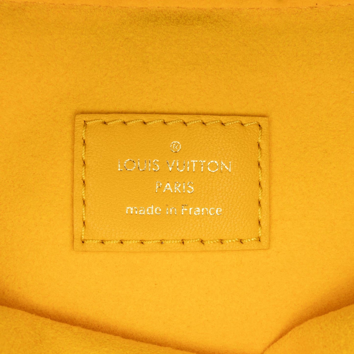 Louis Vuitton Monogram Coussin PM