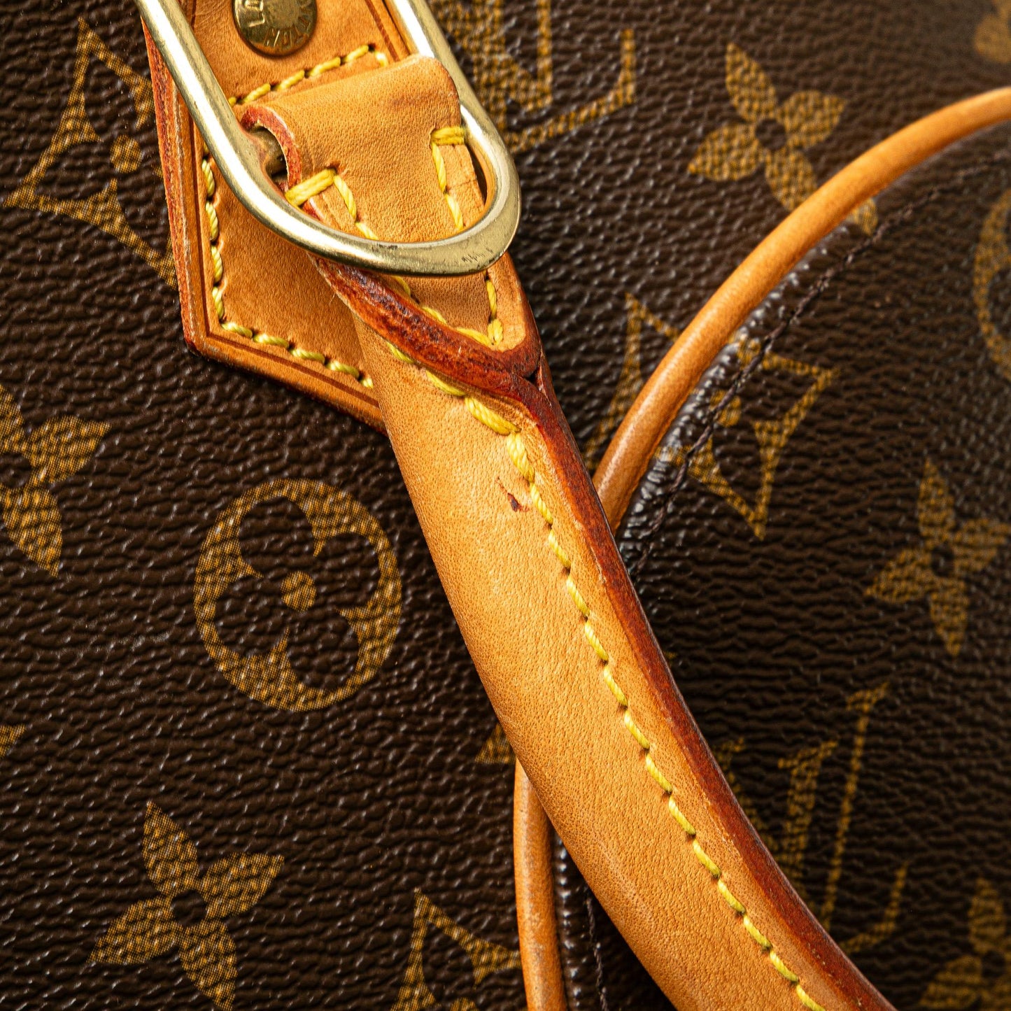 Louis Vuitton Monogram Ellipse PM