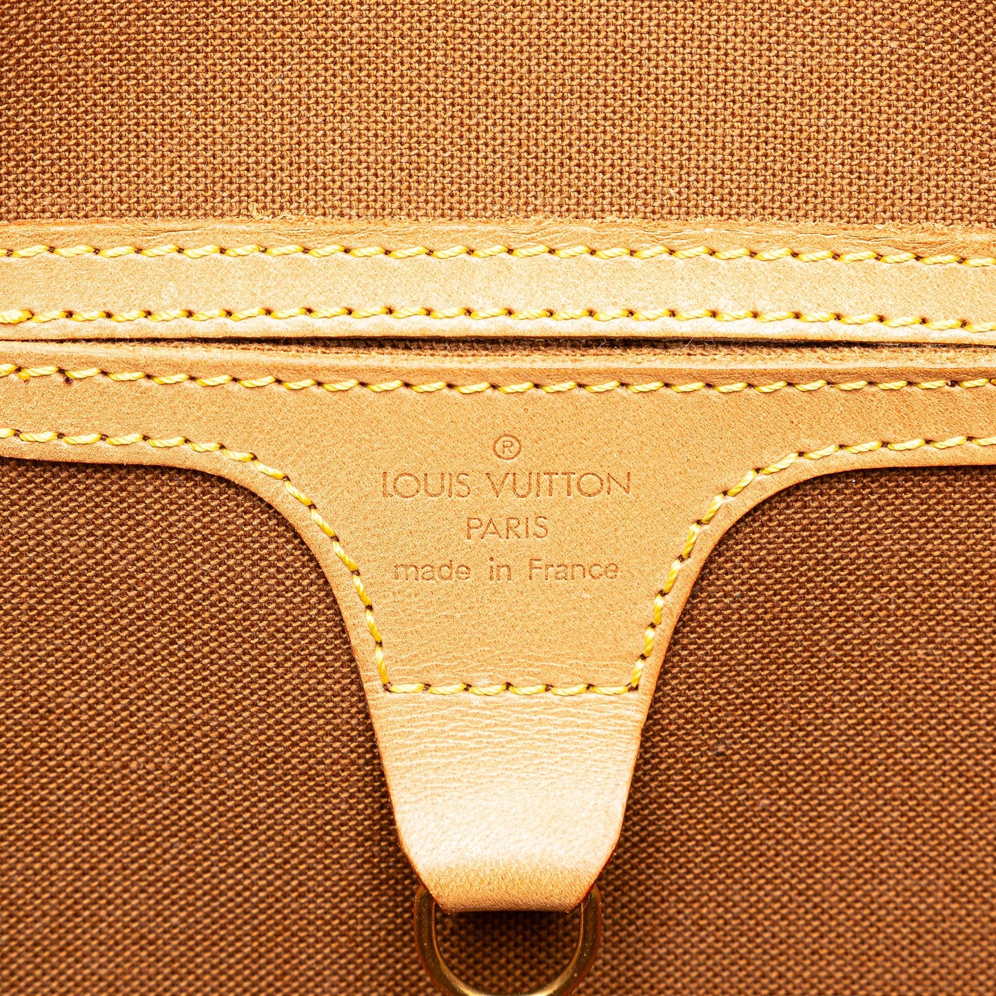 Louis Vuitton Monogram Ellipse PM