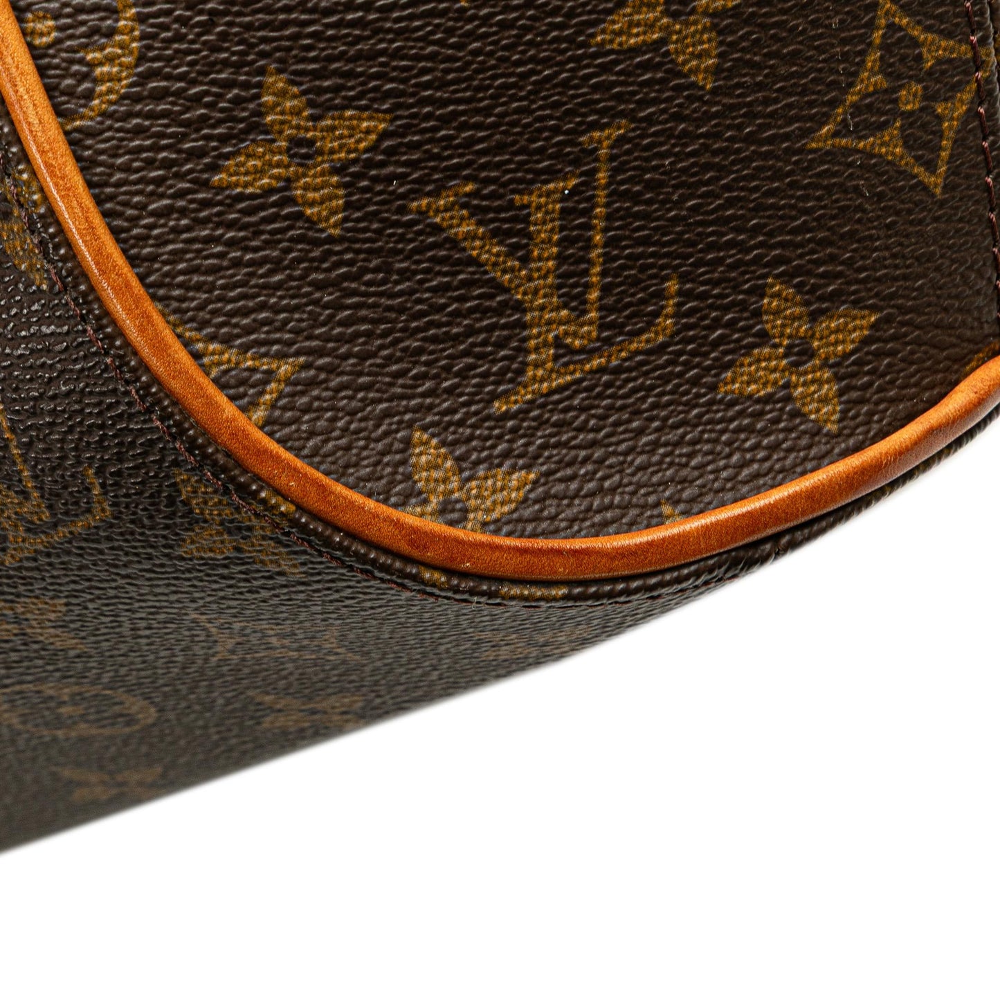 Louis Vuitton Monogram Ellipse PM
