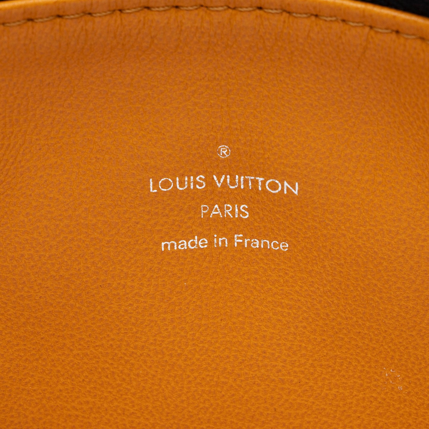 Louis Vuitton Monogram Embossed Lambskin Coussin MM Shoulder Bag (SHF-c3KGRN)