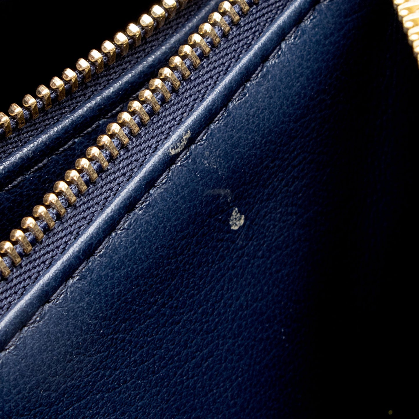 Louis Vuitton Monogram Embossed Lambskin Coussin PM Shoulder Bag (SHF-u4QQP3)