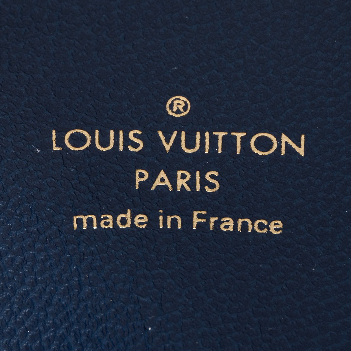 Louis Vuitton Monogram Embossed Lambskin Coussin PM Shoulder Bag