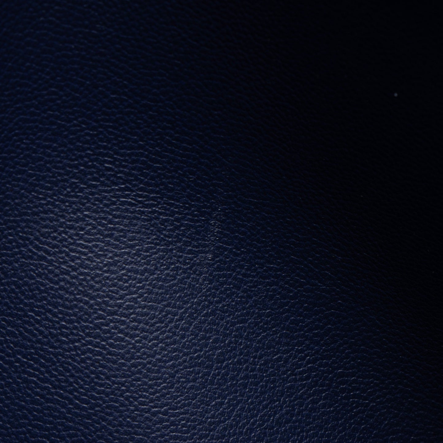 Louis Vuitton Monogram Embossed Lambskin Coussin PM Shoulder Bag