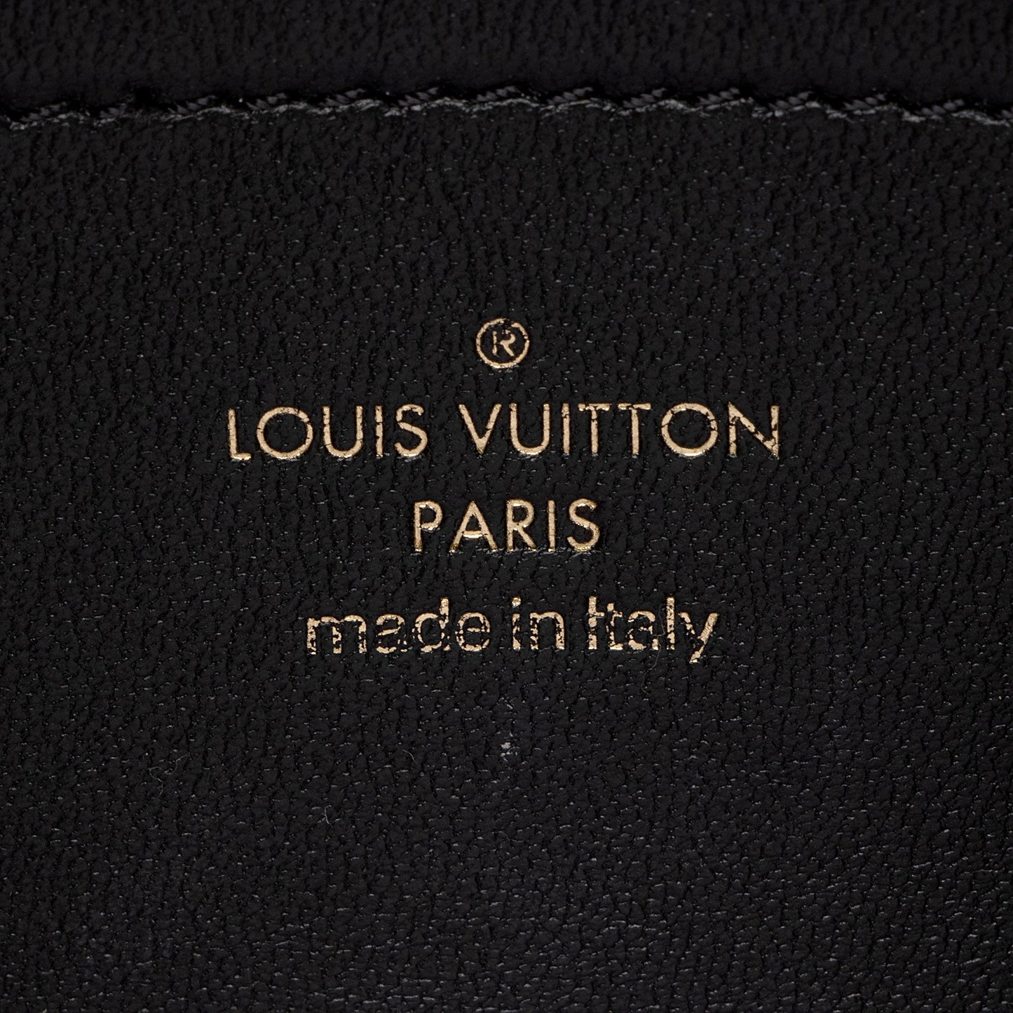 Louis Vuitton Monogram Embossed Lambskin Coussin Pochette (SHF-cmWPKU)