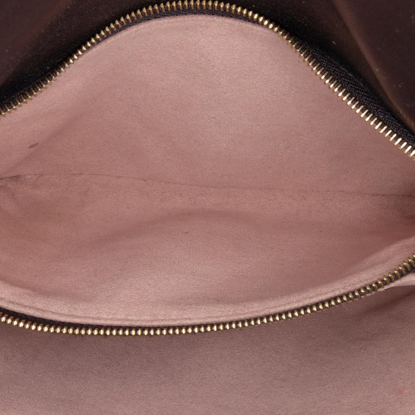 Louis Vuitton Monogram Embossed Pochette Coussin