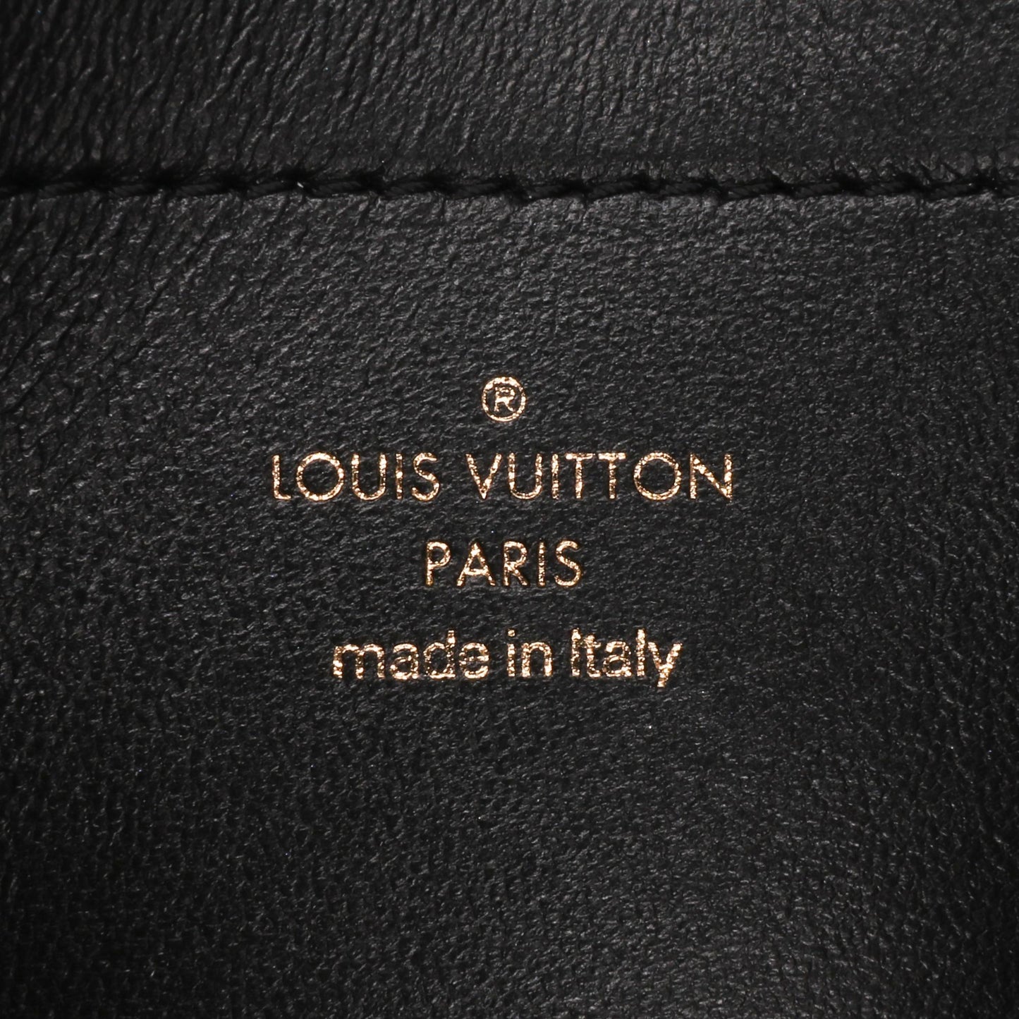 Louis Vuitton Monogram Embossed Pochette Coussin