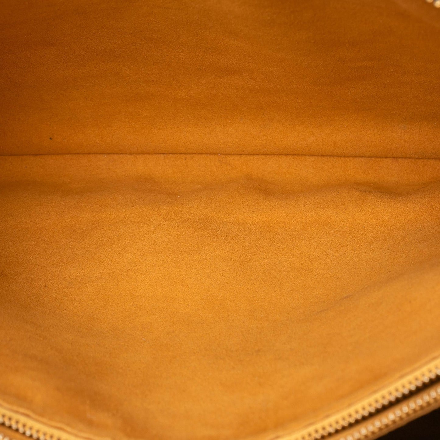 Louis Vuitton Monogram Embossed Puffy Lambskin Coussin MM