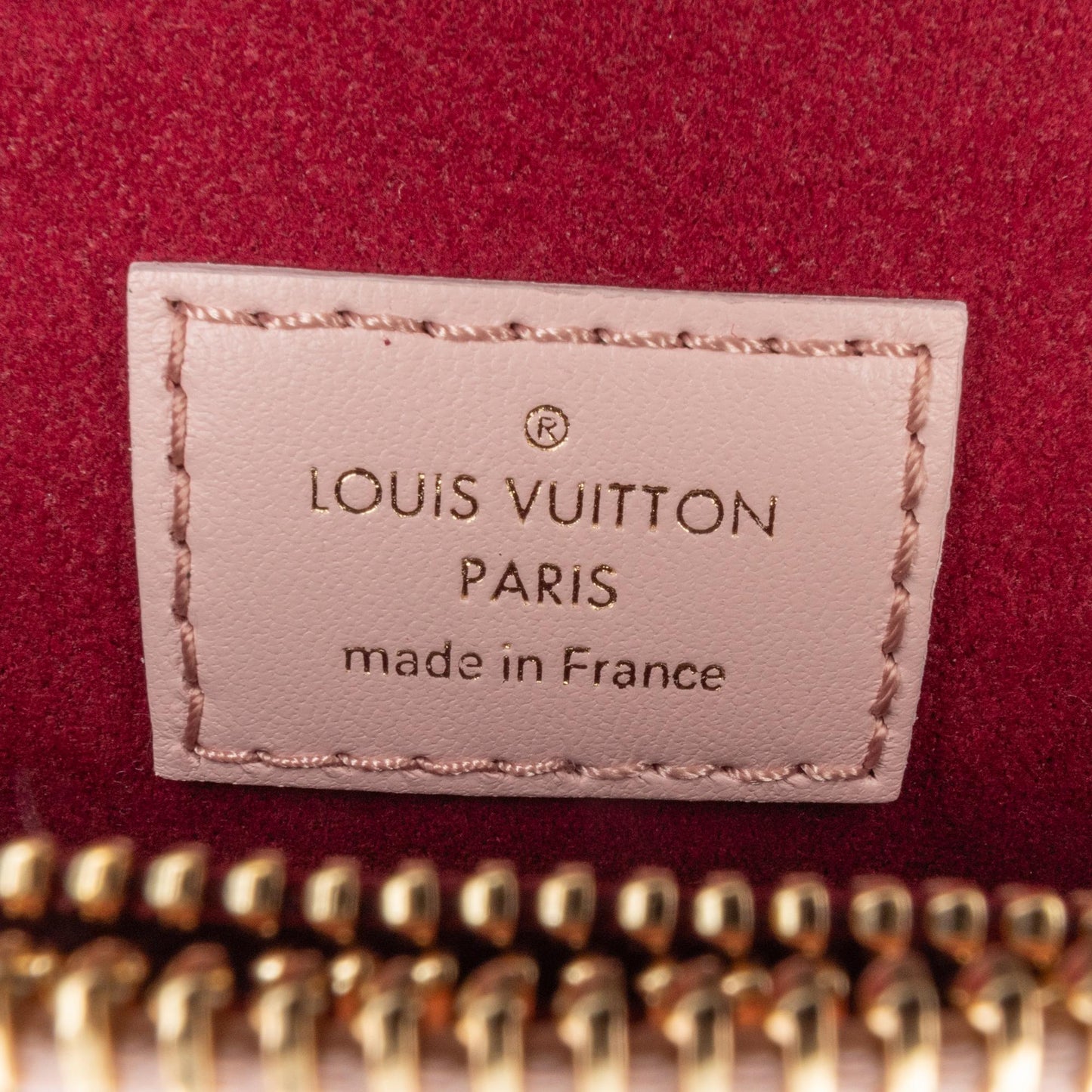 Louis Vuitton Monogram Embossed Puffy Lambskin Coussin PM