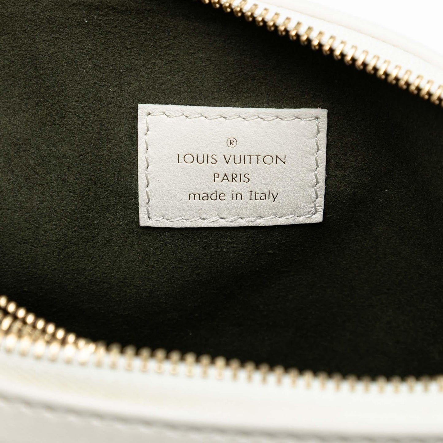 Louis Vuitton Monogram Embossed Puffy Lambskin Coussin PM