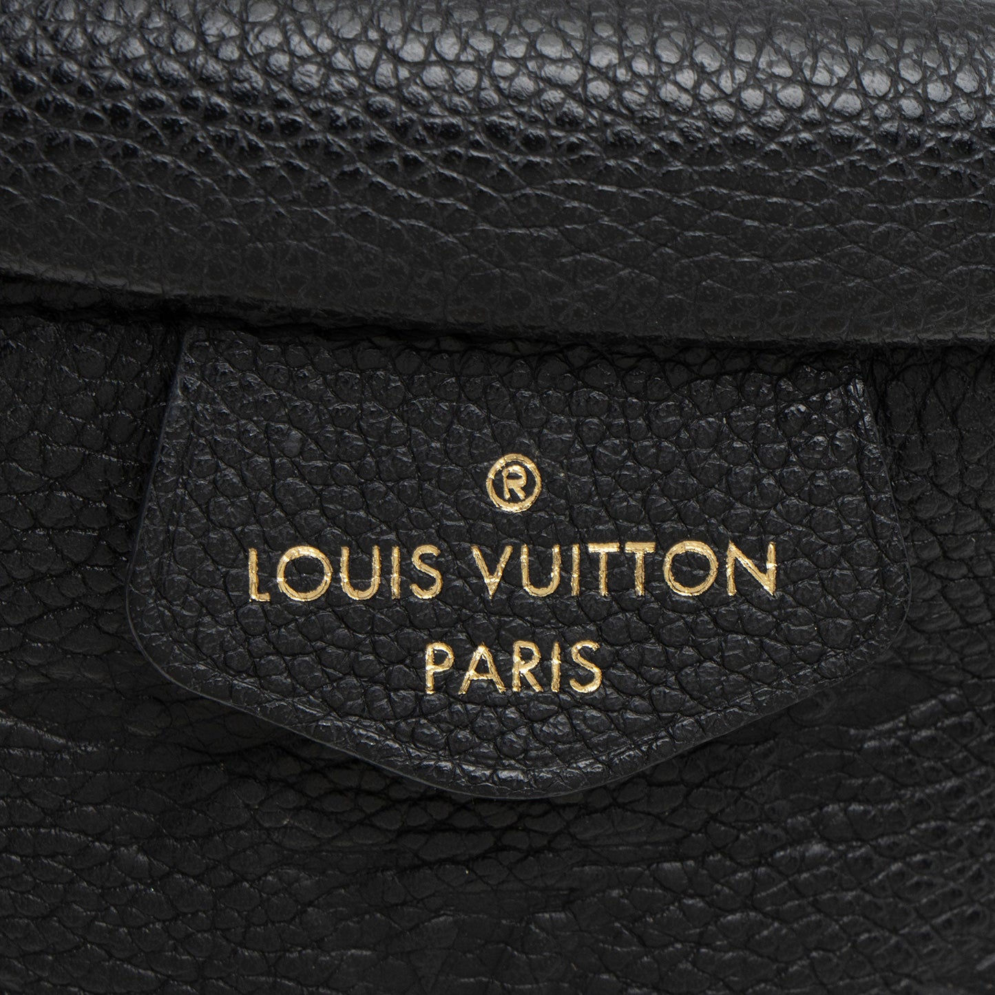 Louis Vuitton Monogram Empreinte Bumbag