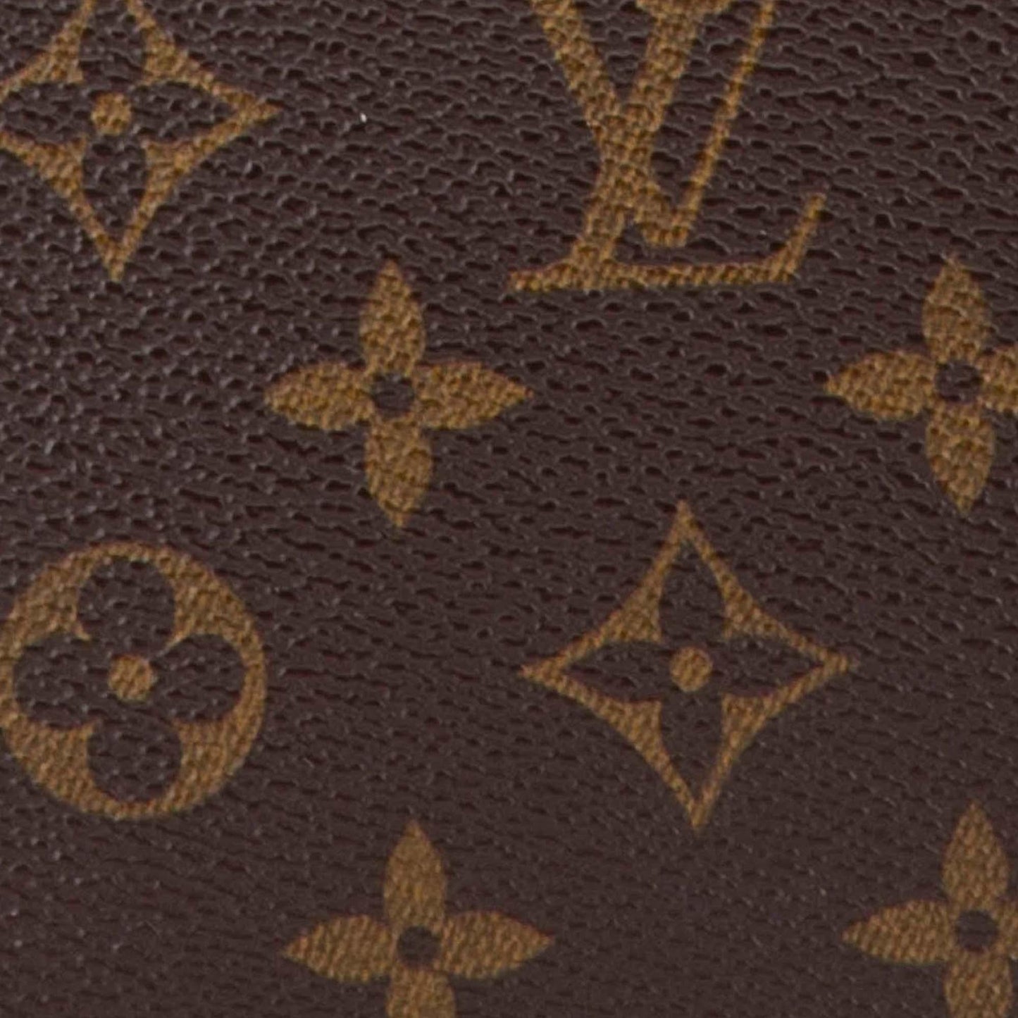 Louis Vuitton Monogram Excursion (SHG-HIxgnD)